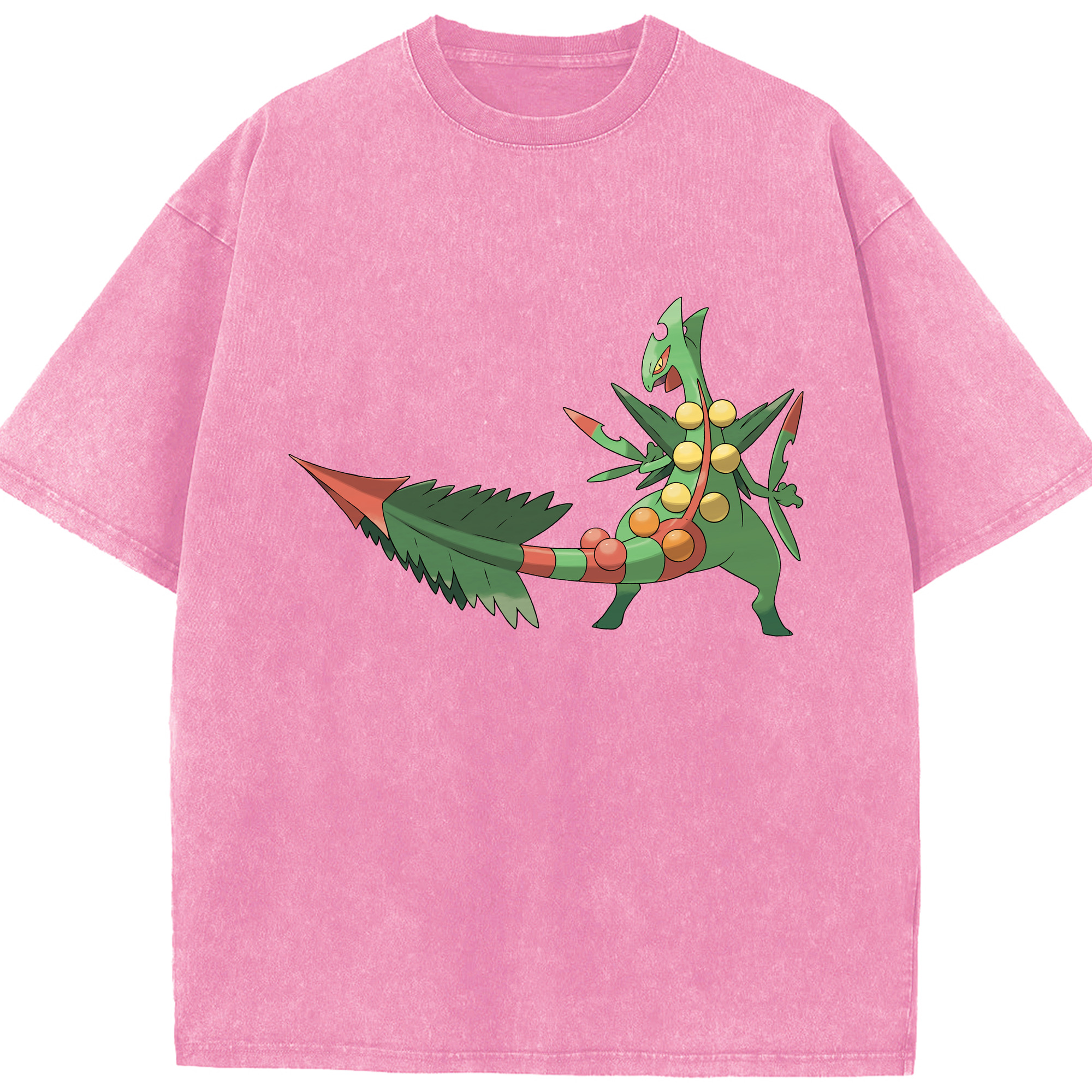 （画像用） ポケットモンスター Pokémon 綿100% ヴィンテージ風 半袖Tシャツ（フロントプリント）